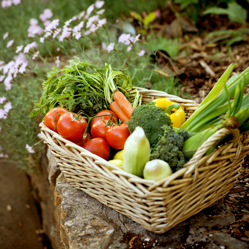 Garden Vegetable Basket